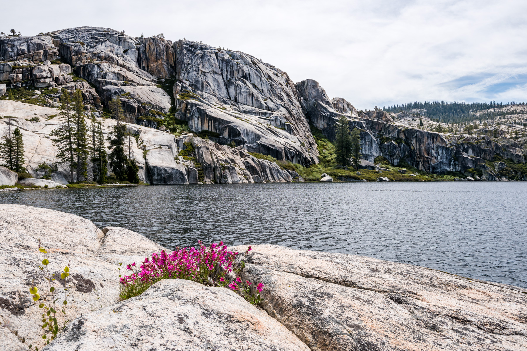 Spotted Fawn Lake